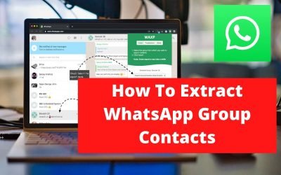 How To Extract WhatsApp Group Contacts