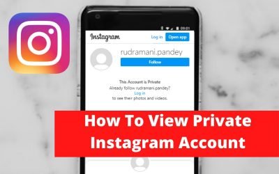 How To View Private Instagram Account