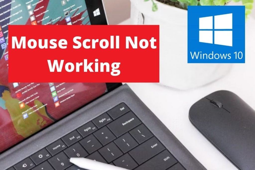 How to Fix Mouse Scroll Not Working On Windows 10 - Layman Solution