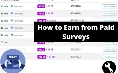 How to Earn from Paid Surveys in 2022