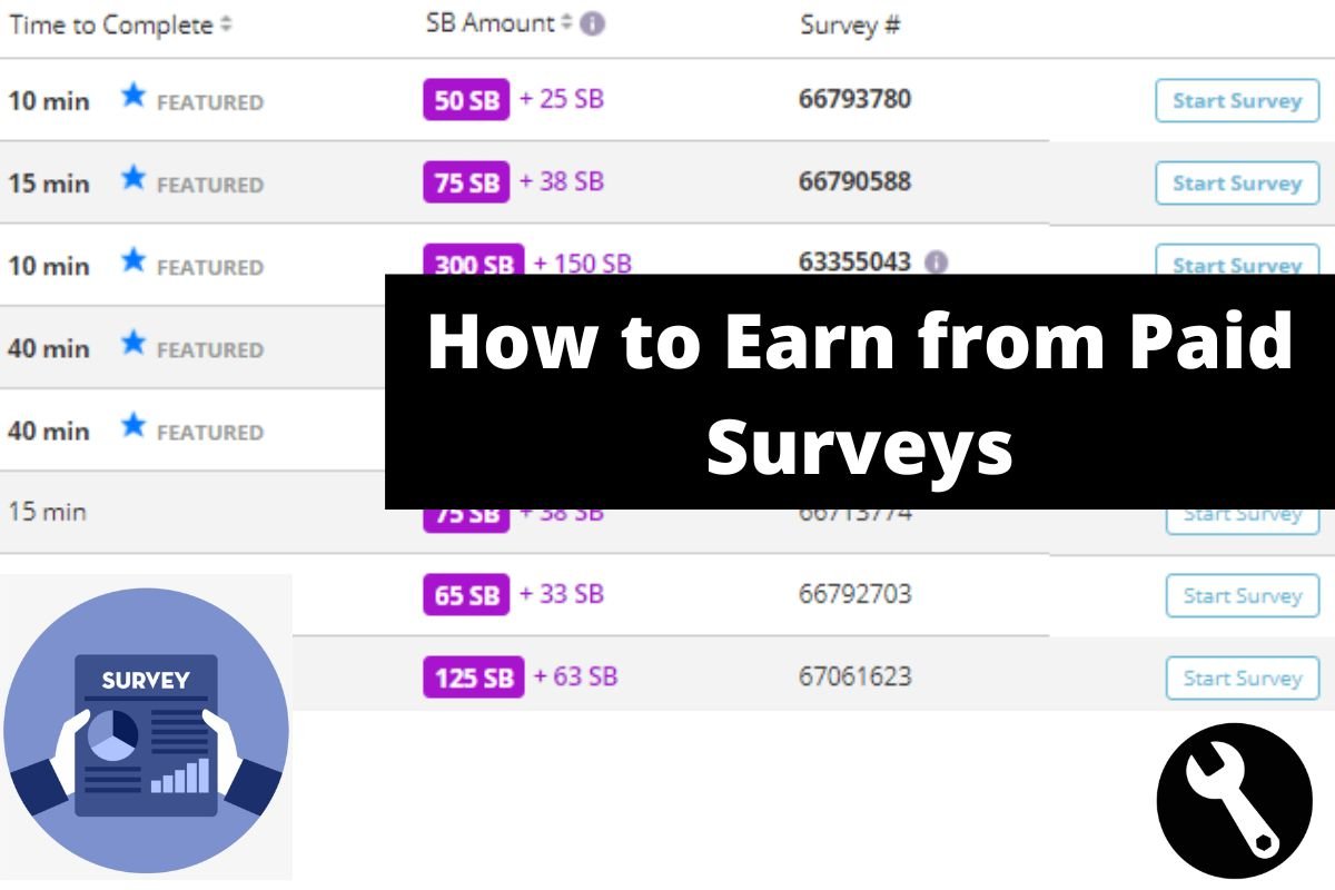How to Earn from Paid Surveys