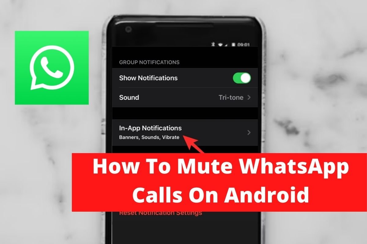 How To Mute WhatsApp Calls On Android